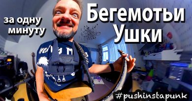 Александр Пушной - Бегемотьи ушки
