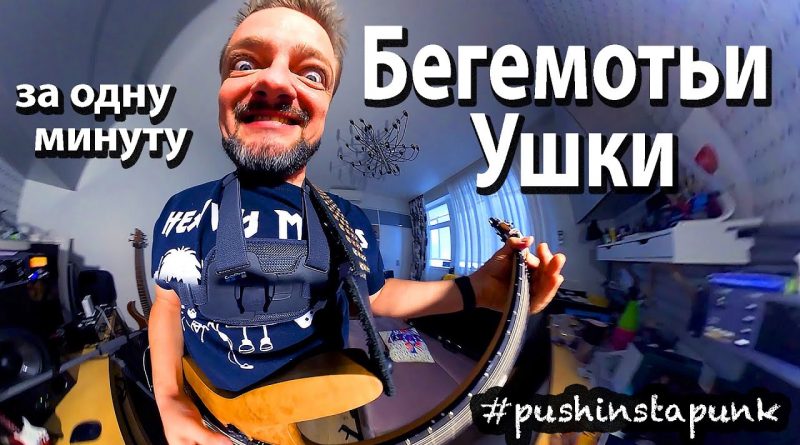 Александр Пушной - Бегемотьи ушки