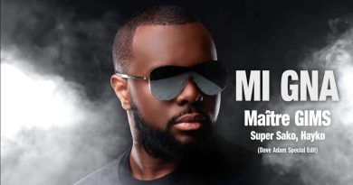Maître Gims, Super Sako, Spitakci Hayko - Mi Gna