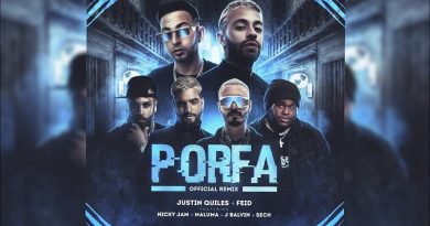 Feid, J. Balvin, Maluma, Nicky Jam, Sech, Justin Quiles - PORFA (Remix)