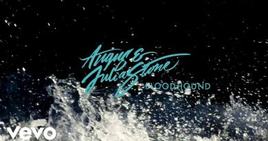 Angus & Julia Stone - Bloodhound