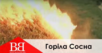 Воплі Відоплясова - Горіла сосна