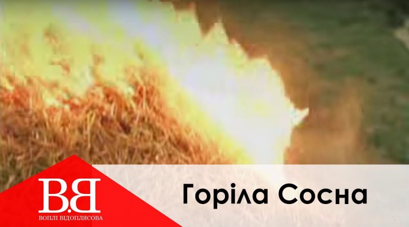 Воплі Відоплясова - Горіла сосна
