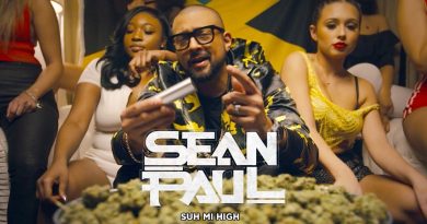 Sean Paul - Suh Mi High