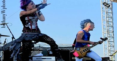 Icon For Hire - Pieces