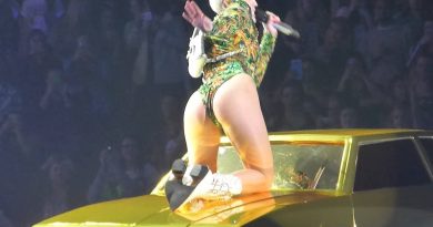 Miley Cyrus - Love, Money, Party