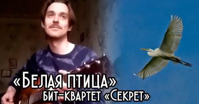 Секрет — Белая птица