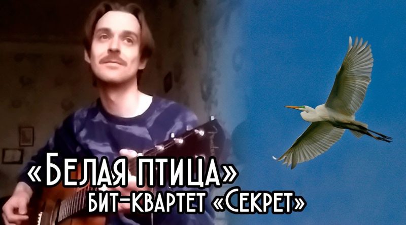 Секрет — Белая птица