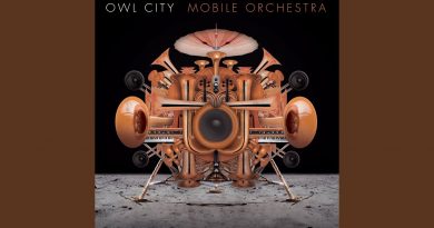 Owl City - Bird With A Broken Wing