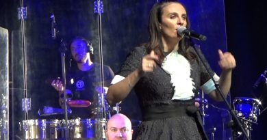 Елена Ваенга - Разговор
