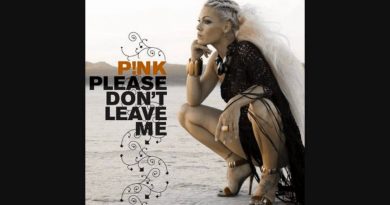 Pink - Please Don't Leave Me