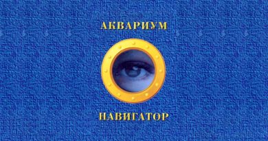 Аквариум - Удивительный Мастер Лукьянов