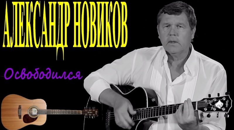 Александр Новиков - Освободился