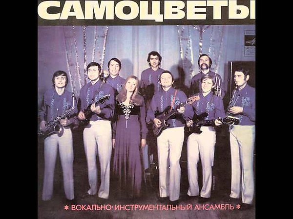 ВИА «Самоцветы» - Зеркало и шут