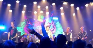 Die Toten Hosen - Streichholzmann
