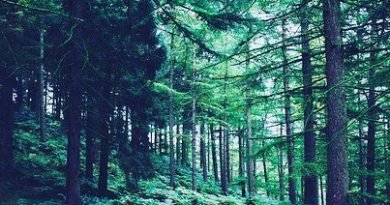 Разные Люди — Не вырубай
