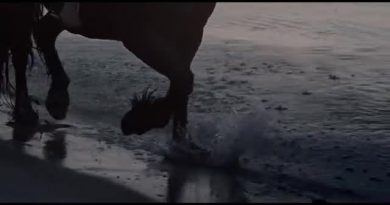 Wardruna - Pertho
