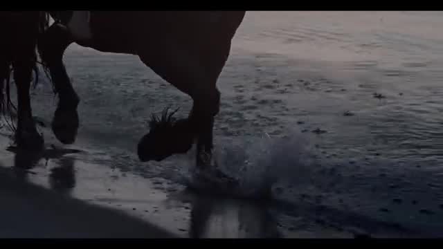 Wardruna - Pertho
