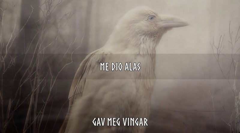 Wardruna - Kvitravn