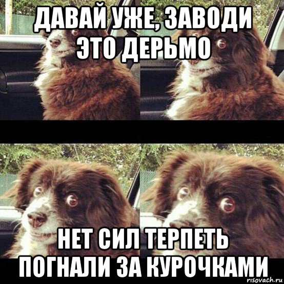Секрет — Давай, заводи