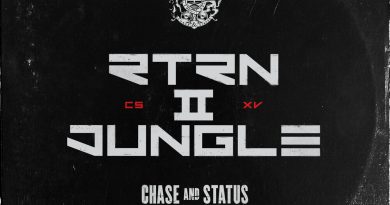 Chase & Status, Kabaka Pyramid - Murder Music