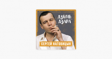 Сергей Наговицын — Выборы
