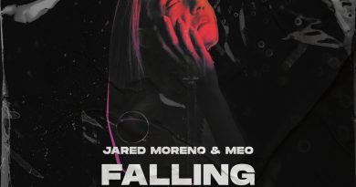 Besomorph, N3WPORT, Meo - Falling
