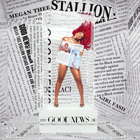 Megan Thee Stallion, Young Thug - Don’t Stop