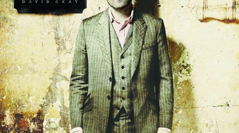 David Gray - Stella The Artist