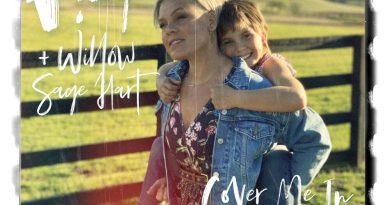 P!nk, Willow Sage Hart - Cover Me In Sunshine