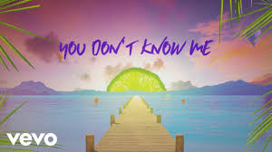 Sigala, Shaun Frank, Flo Rida - You Don't Know Me ft. Delaney Jane