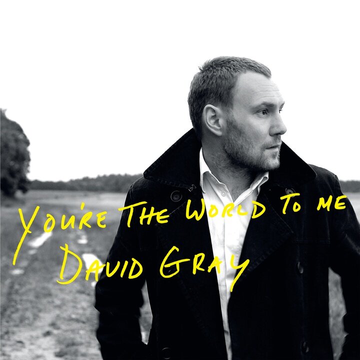 David Gray - You're The World To Me