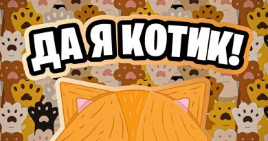 Simbachka - Бездомный кот