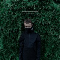 Бакей - Саранча