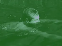 Porches - Swimmer