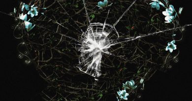 Defect Defect - Magnolia