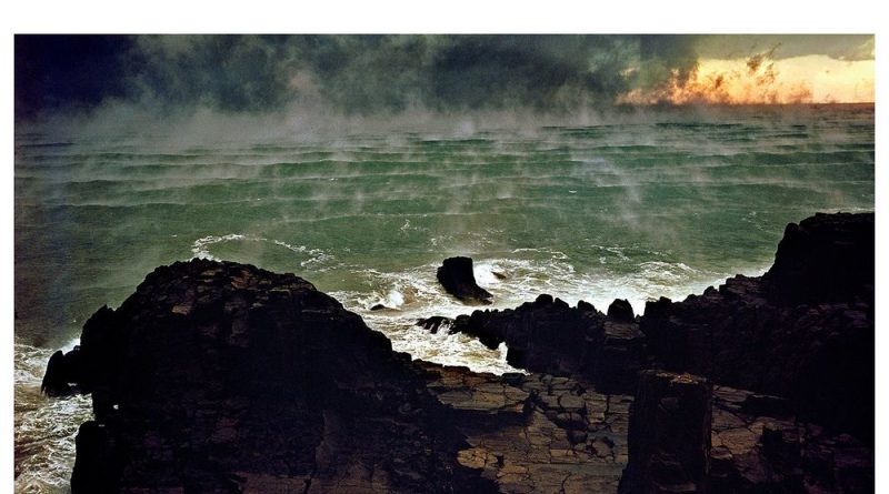 Fleet Foxes - – Naiads, Cassadies