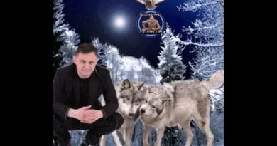 Мафик — Волк и волчица