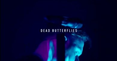 Architects - Dead Butterflies