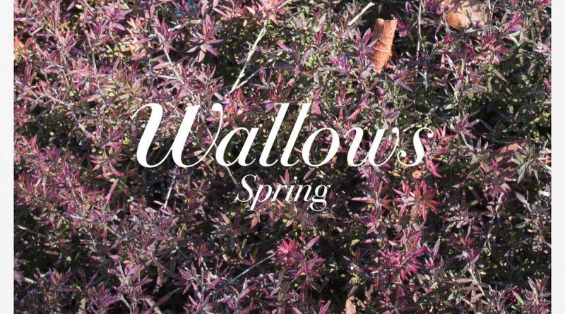 Wallows