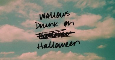 Wallows