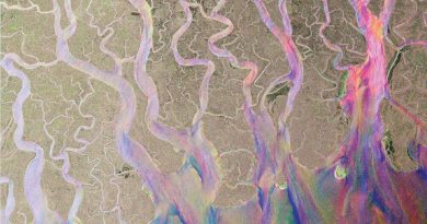 alt-J - Taro