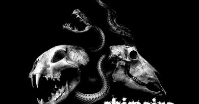 Chimaira - Nothing Remains