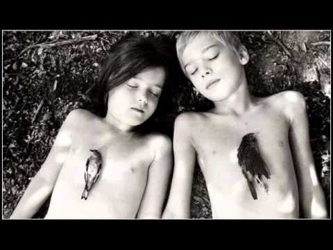 Cocoon – The Best I Can