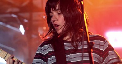 Courtney Barnett - Dead Fox
