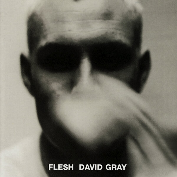 David Gray - What Are You