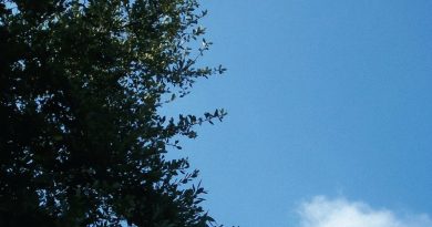 Cloud Nothings