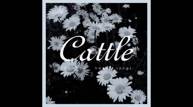 Cattle - Bit and Little