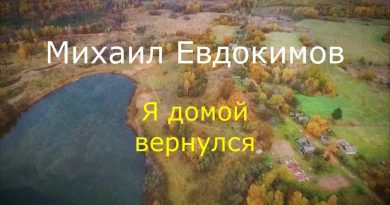 Михаил Евдокимов - Я домой вернулся