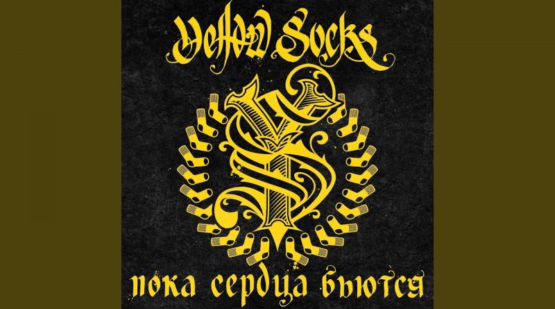 Yellow Socks - Камеры